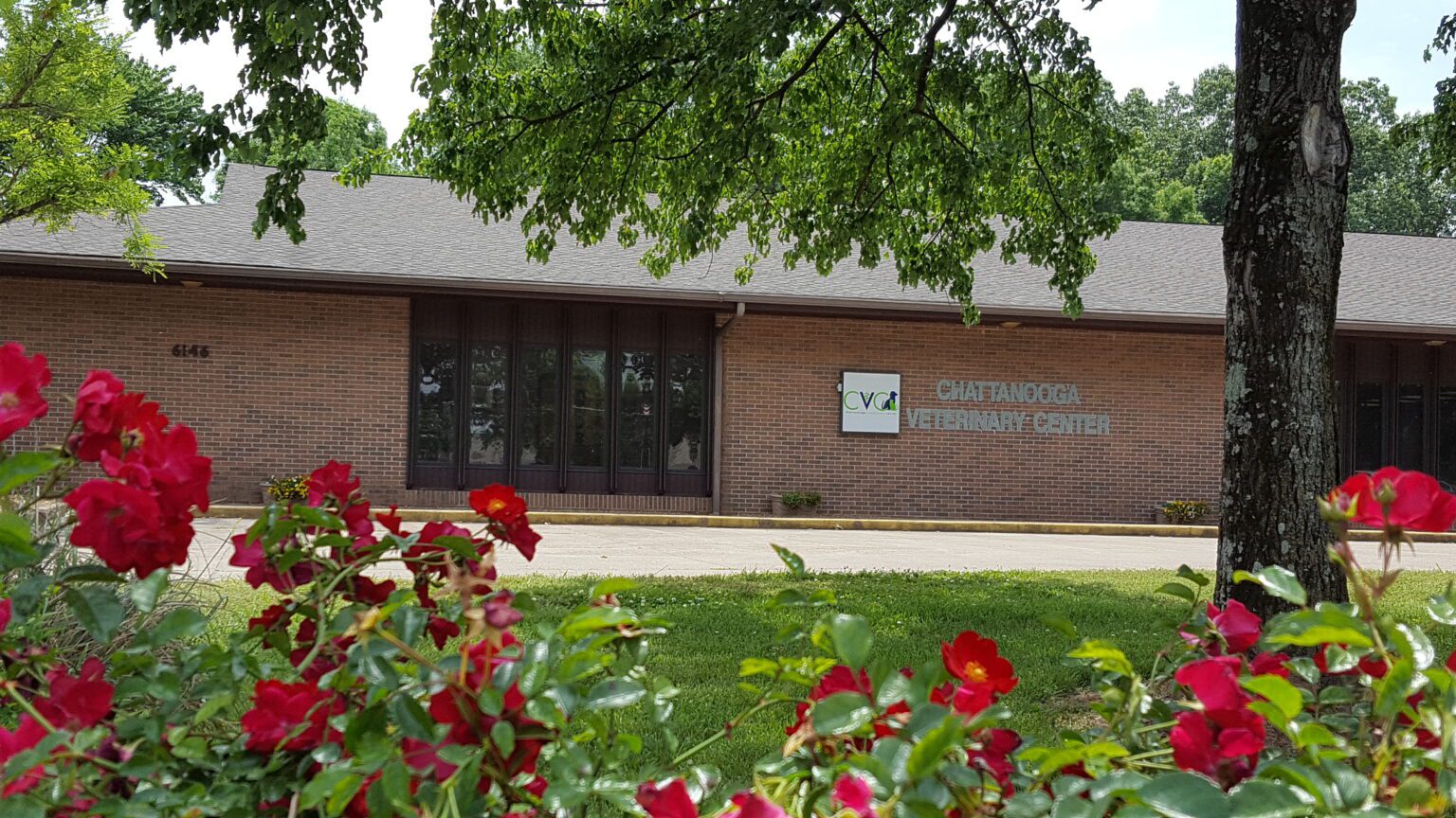 Animal Clinic in Chattanooga, TN Chattanooga Veterinary Center